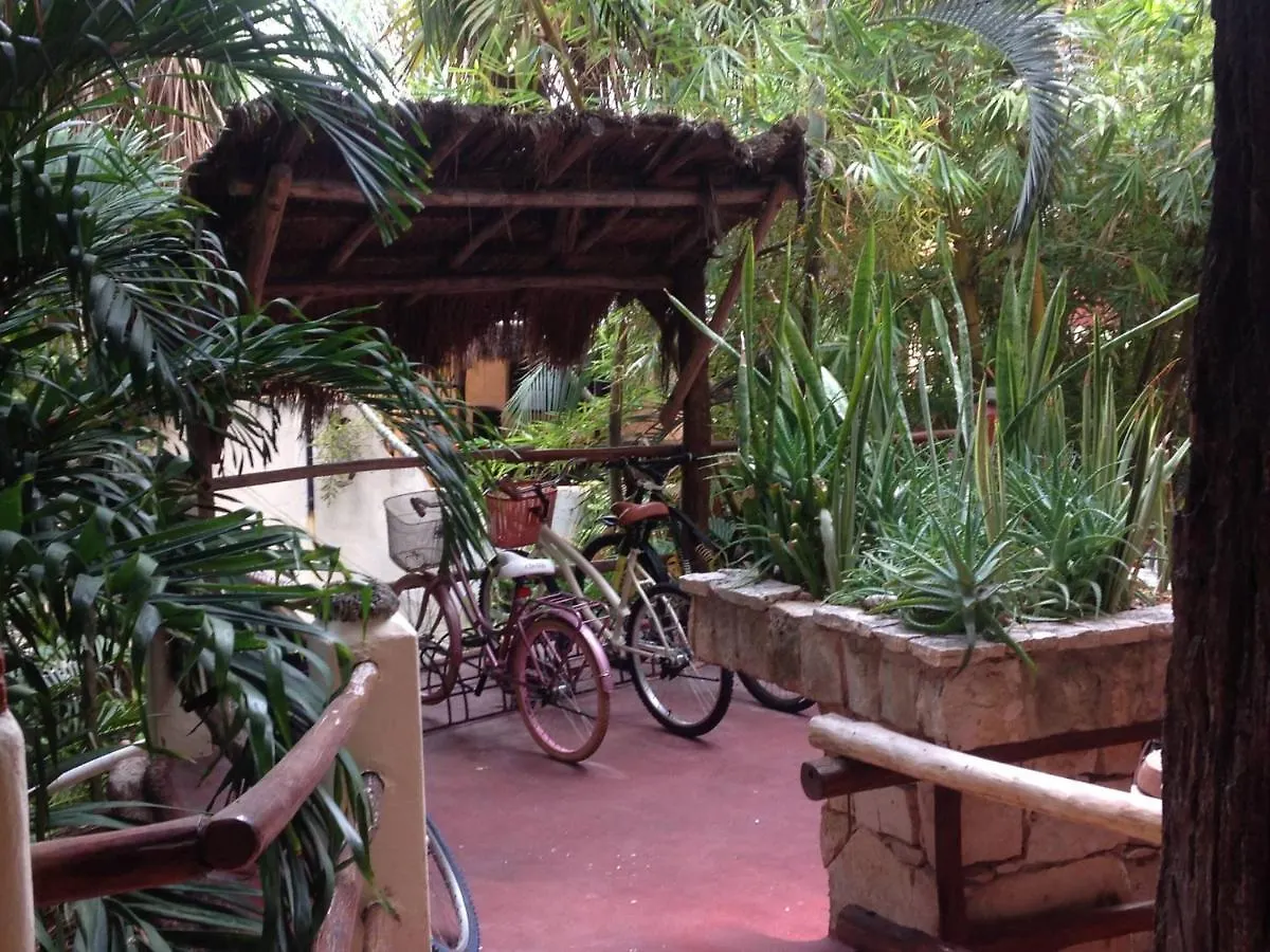 One Bedroom Apt In The Heart Of Playa Only One Block To The Beach! Playa del Carmen